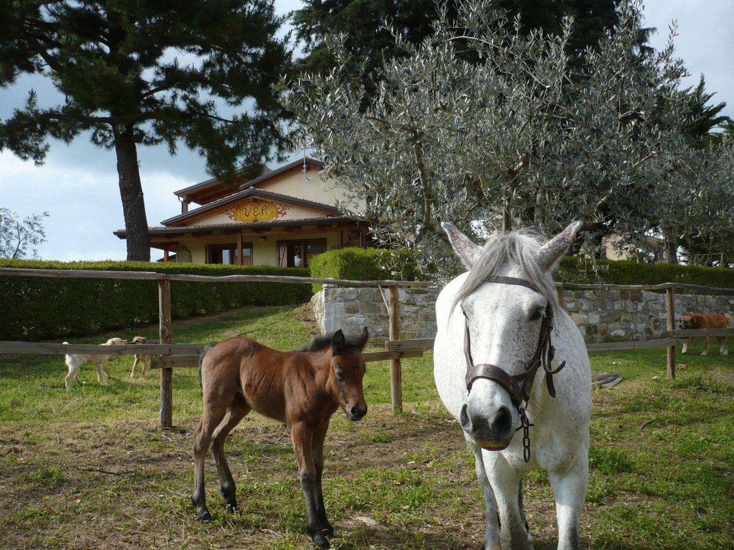 Agriturismo Villa Vea Bellosguardo Eksteriør billede