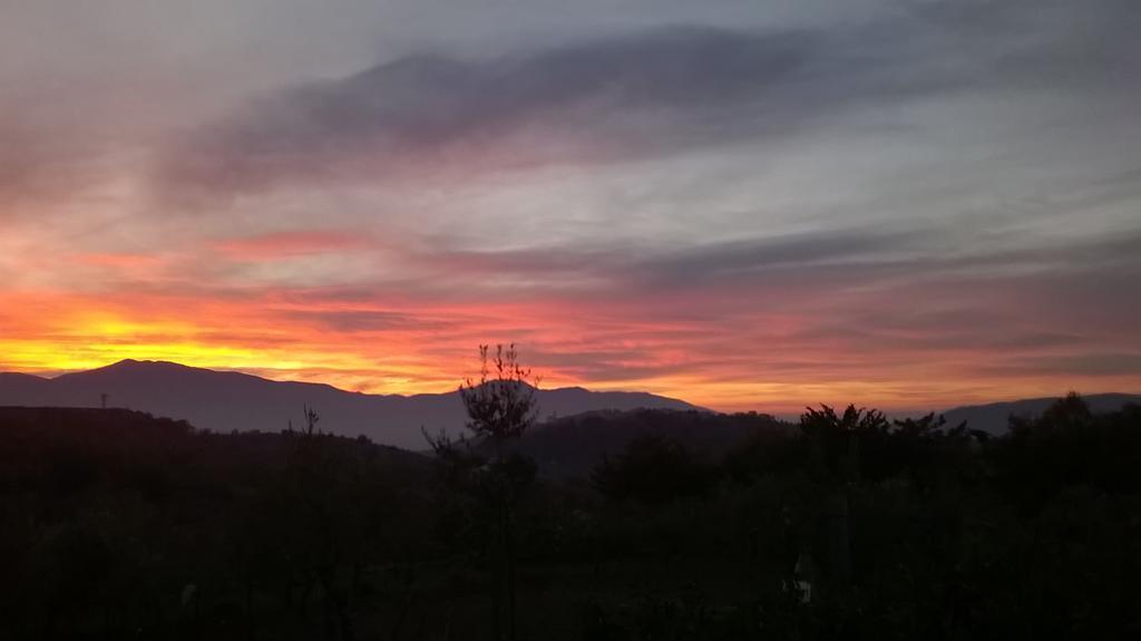 Agriturismo Villa Vea Bellosguardo Eksteriør billede