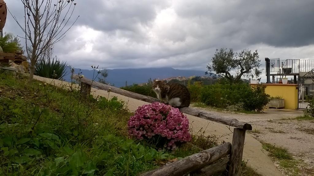 Agriturismo Villa Vea Bellosguardo Eksteriør billede